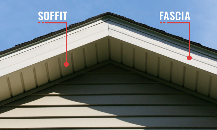 Fascia and Soffit