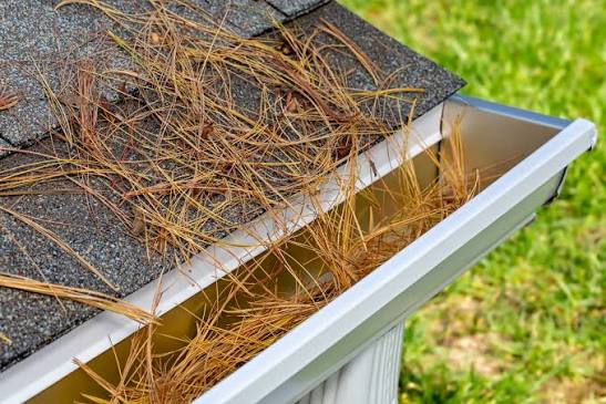 fascia and soffit repair